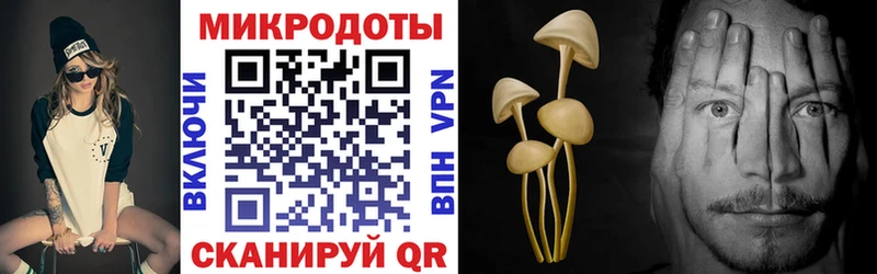 Псилоцибиновые грибы GOLDEN TEACHER  Купить  Майкоп
